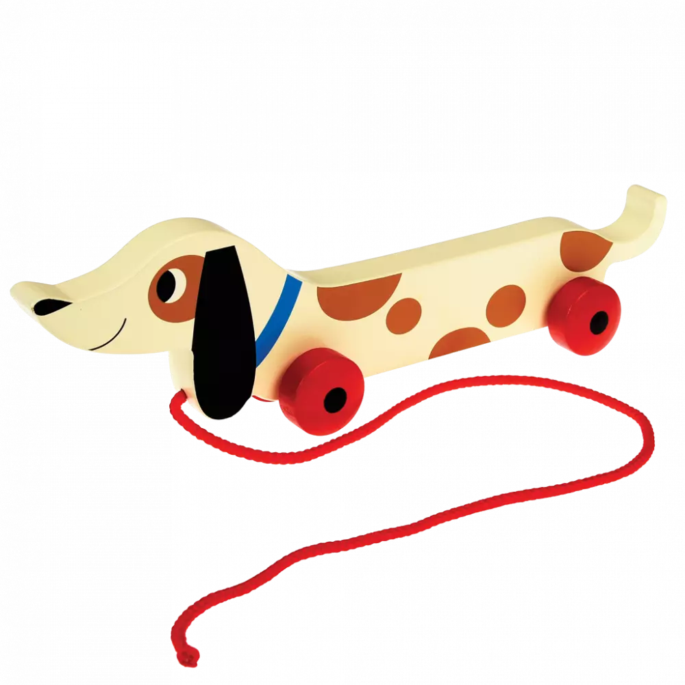 Rex London | Wooden Pull Along Toy | Charlie the Sausage Dog