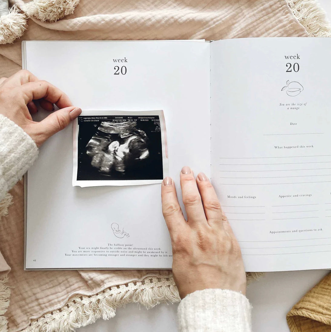 Blush & Gold | My Pregnancy Journal