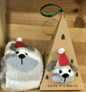 Open image in slideshow, Socks In A Box

